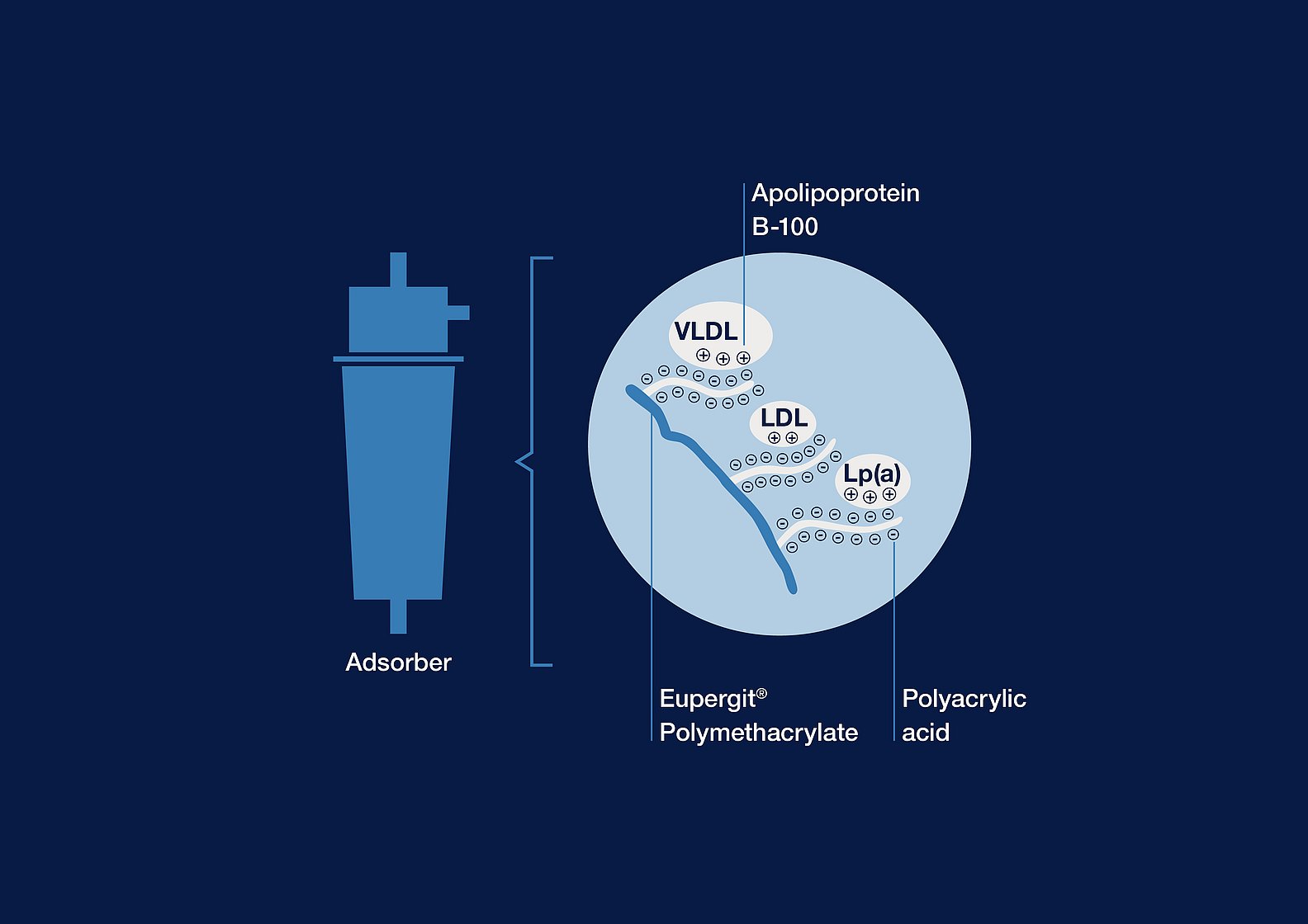 Lipoprotein Apheresis_DALI