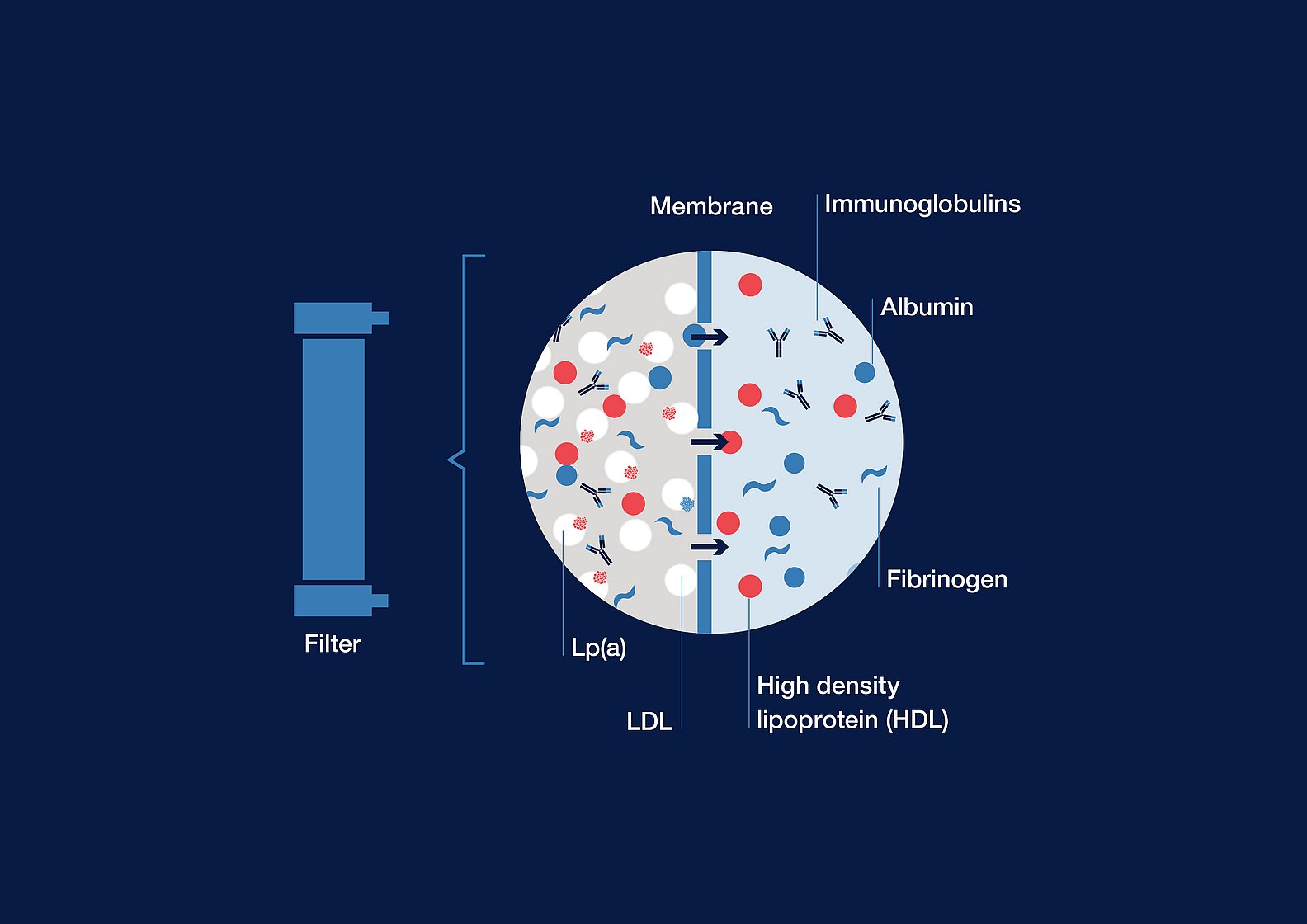 Lipoprotein Apheresis_MONET