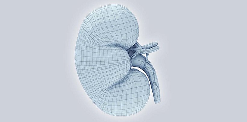 Kidney and nephrology