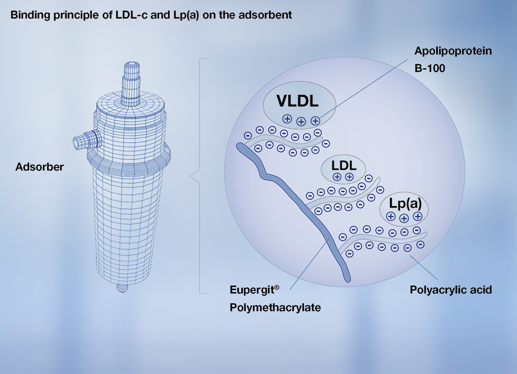 Lipoprotein binding to DALI adsorber