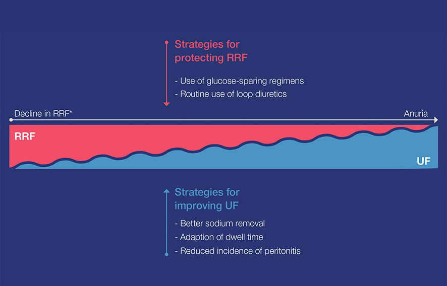 model of the relationship between RKF and UF